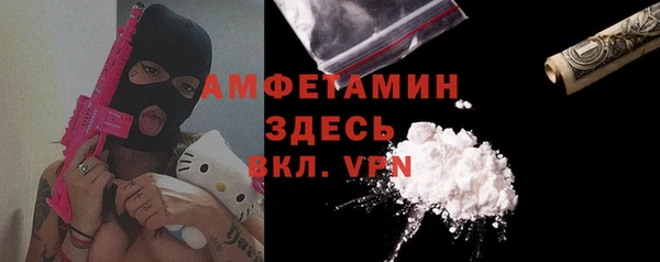 молекула духа Алзамай