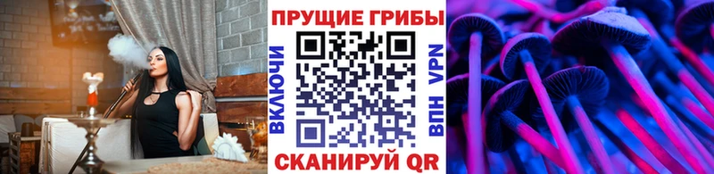 Купить где  Всеволожск  Галлюциногенные грибы мухоморы 